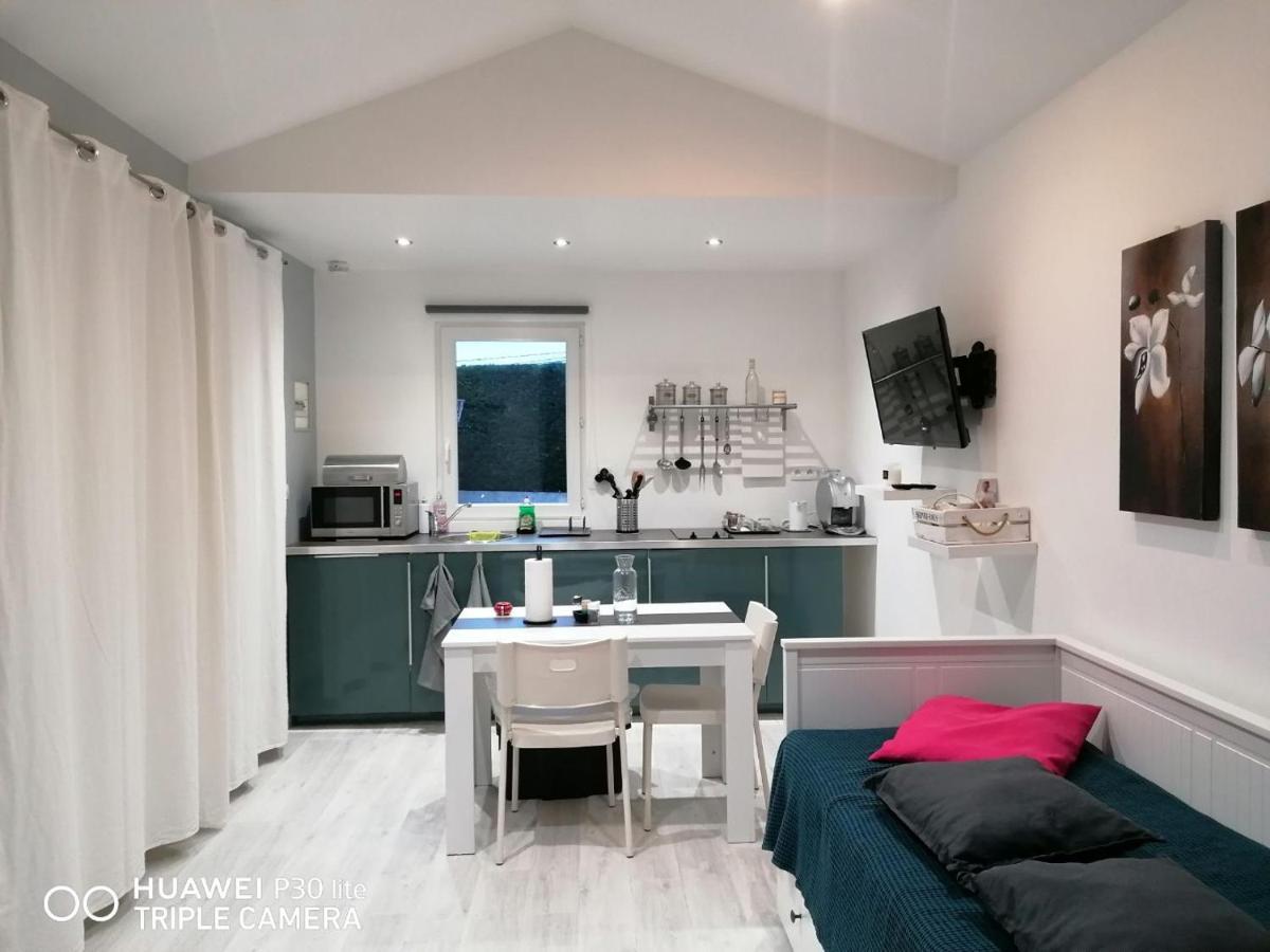 Petit Nid Douillet Apartment Reventin-Vaugris Bagian luar foto