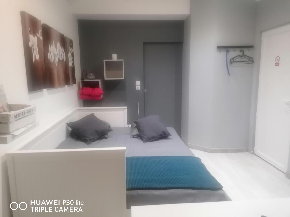 Petit Nid Douillet Apartment Reventin-Vaugris Bagian luar foto